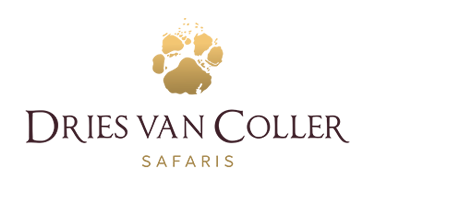 Request a Quote for Your African Safari