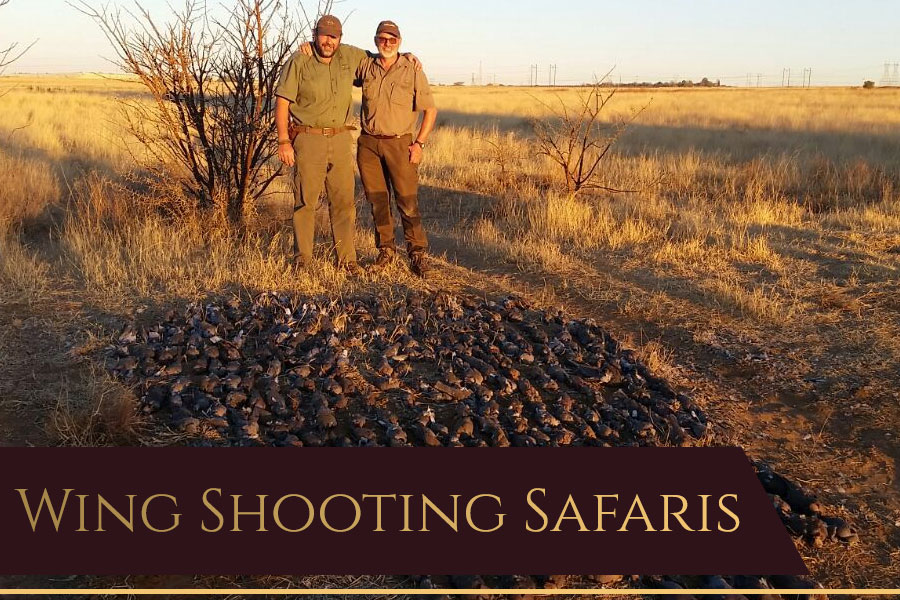 Dries van Coller Wingshooting Safaris